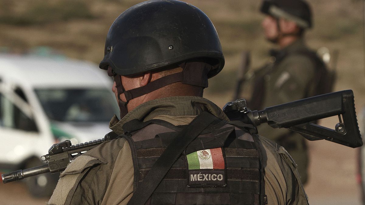 Meksika polisinin uyuşturucu kartelleri ile mücadelesi devam ediyor (2019 /AP) 