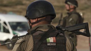 Meksika polisinin uyuşturucu kartelleri ile mücadelesi devam ediyor (2019 /AP) 