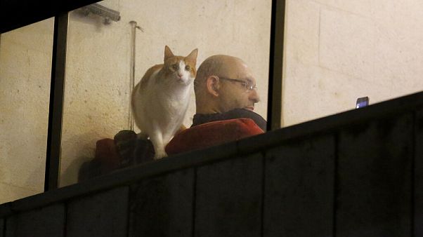 Проблемы карантина: слово психологам Проблемы карантина: слово психологам