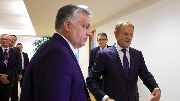 Tusk szerint néhány politikus olyan mint a vírus: az EPP elnöke Orbántól félti az EU-t Tusk szerint néhány politikus olyan mint a vírus: az EPP elnöke Orbántól félti az EU-t