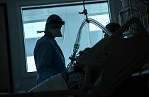 بهبودیافتگان بخش بزرگی از مبتلایان به ویروس کرونا هستند