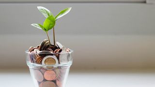 Plant pot of money to represent green banking
