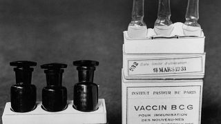 March 1931 image of Vaccine BCG ampullae against tuberculosis taken at a laboratory at the Institute Pasteur in Paris, France. (AP Photo/Alfred Eisenstaedt)