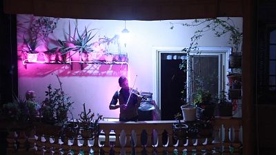 Violinist serenades neighbours from balcony amid coronavirus lockdown