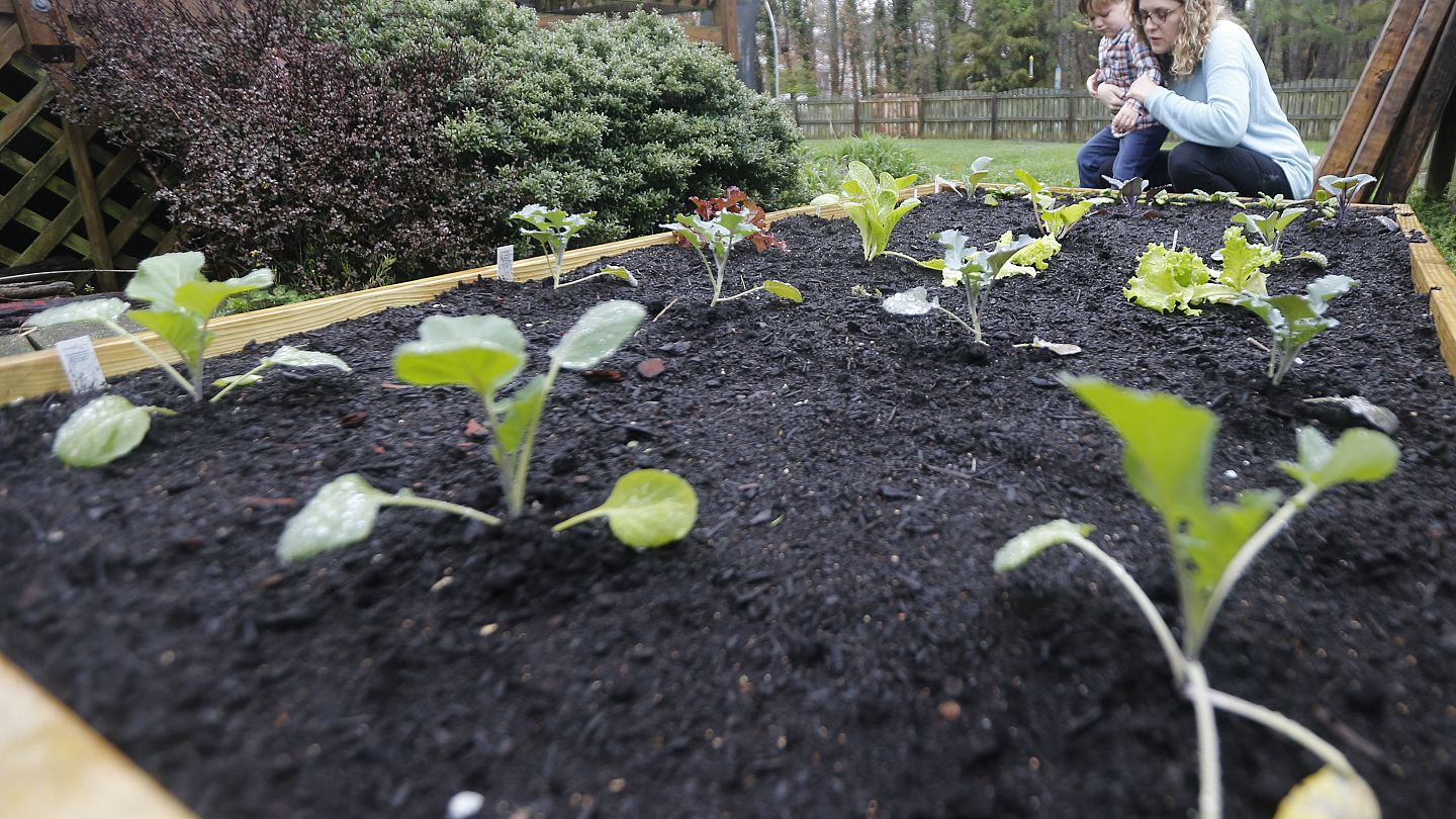 Why Gardening Should Be Your Go To Quarantine Activity Euronews