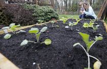 Stephanie Owens,Cole Owens