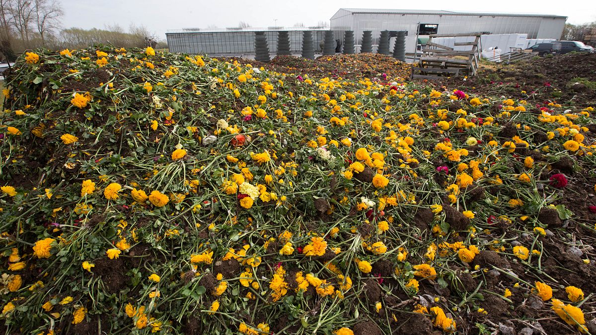 Weggeworfene Blumen in den Niederlanden
