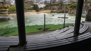 Берлинский зоопарк закрыт для посетителей из-за коронавирусной пандемии
