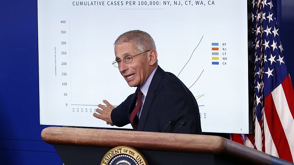 ABD Ulusal Sağlık Enstitüsü Bulaşıcı Hastalıklar Başkanı Dr. Anthony Fauci Beyaz Saray'da konuştu ABD Ulusal Sağlık Enstitüsü Bulaşıcı Hastalıklar Başkanı Dr. Anthony Fauci Beyaz Saray'da konuştu
