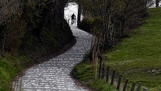 Flandern-Rundfahrt: Radprofis starten zu Hause