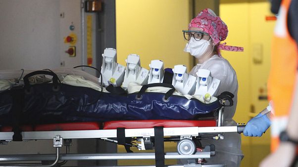 Dons de plasma et vers marins : les nouveaux espoirs dans la lutte contre le coronavirus Dons de plasma et vers marins : les nouveaux espoirs dans la lutte contre le coronavirus