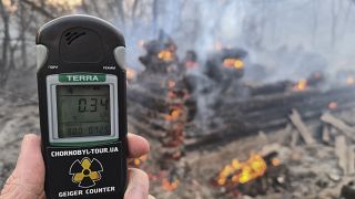 A Geiger counter shows increased radiation level in the exclusion zone around the Chernobyl nuclear power plant, Ukraine, April 5, 2020 (AP Photo/Yaroslav Yemelianenko)