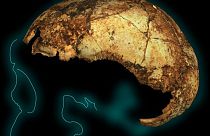 Ανακαλύφθηκε το αρχαιότερο στον κόσμο κρανίο Homo erectus