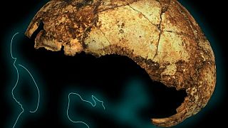 Ανακαλύφθηκε το αρχαιότερο στον κόσμο κρανίο Homo erectus