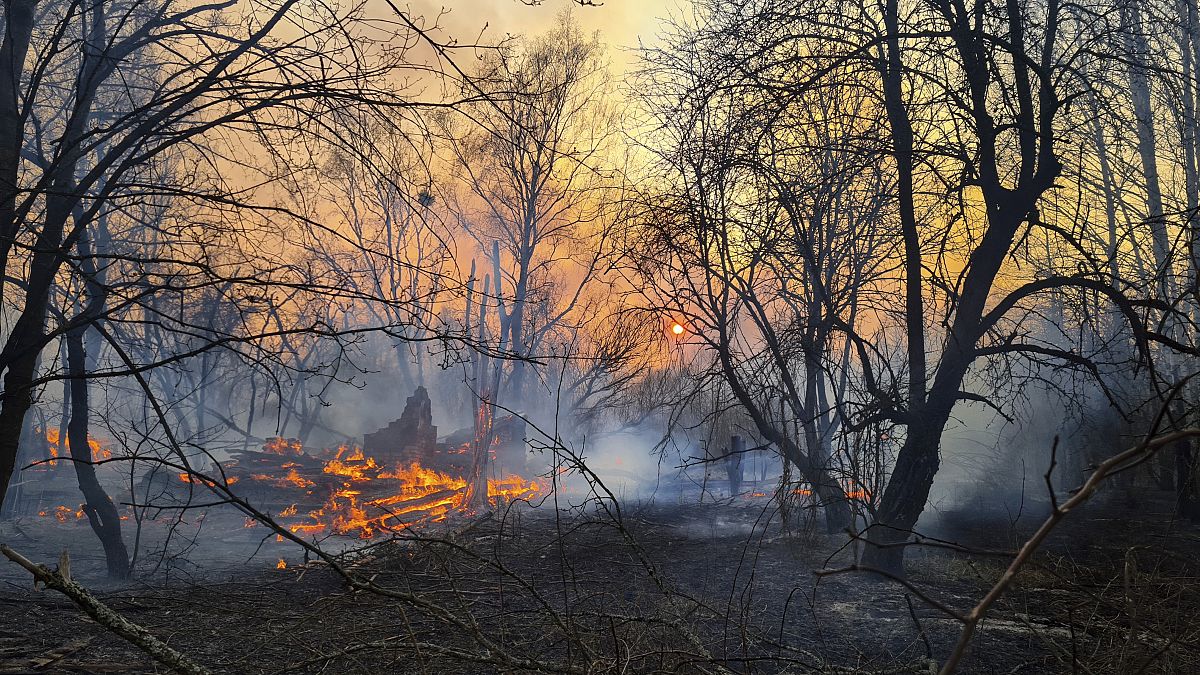 Ukrayna'da Çernobil bölgesinde orman yangınları