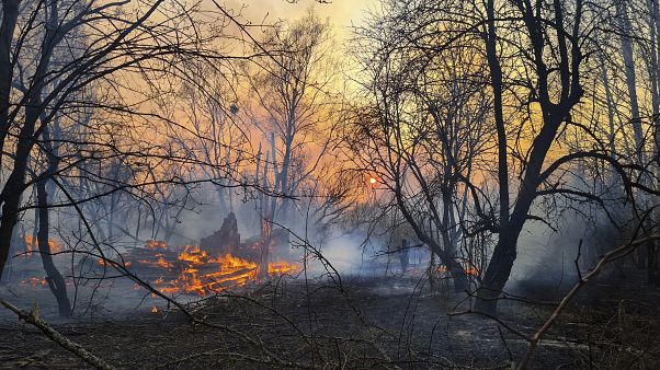 Ukrayna'da Çernobil bölgesinde orman yangınları Ukrayna'da Çernobil bölgesinde orman yangınları