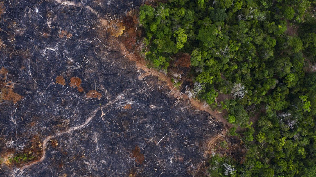 Prainha, Bundesstaat Para, Brasilien: Die Abholzung des Amazonasgebietes hat den schlimmsten Stand seit 11 Jahren erreicht.