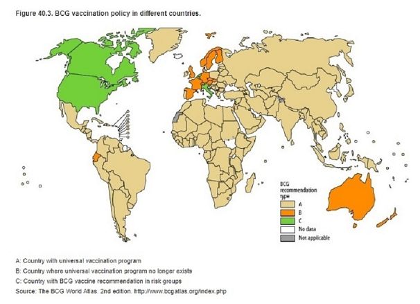AEP/BCG World Atlas