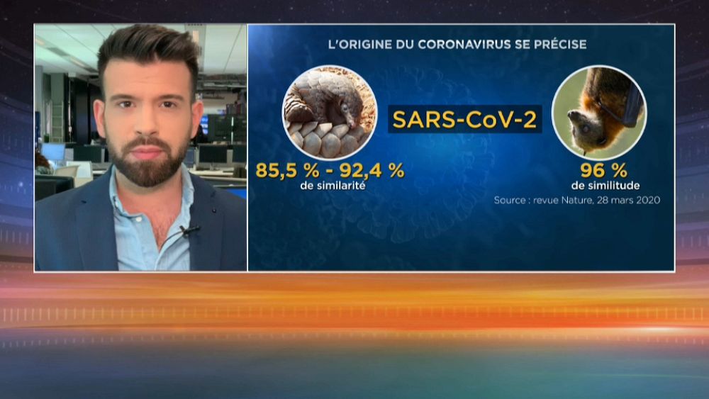 Covid-19 et théories du complot : 26% des Français pensent que le virus a été créé en laboratoire