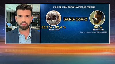 Coronavirus et théories du complot : 26% des Français pensent que le virus a été créé en laboratoire