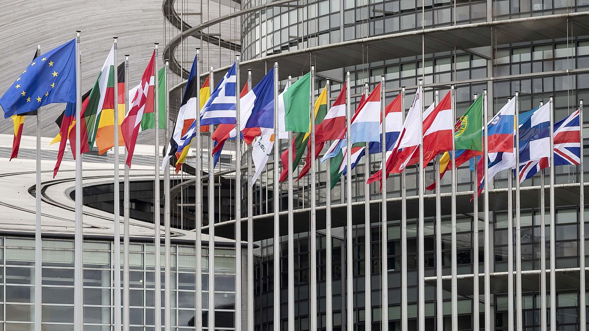 FILE: Flags outside the European Parliament in Strasbourg, eastern France in January 2020.