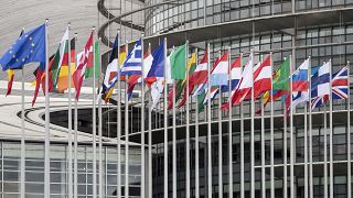 FILE: Flags outside the European Parliament in Strasbourg, eastern France in January 2020.