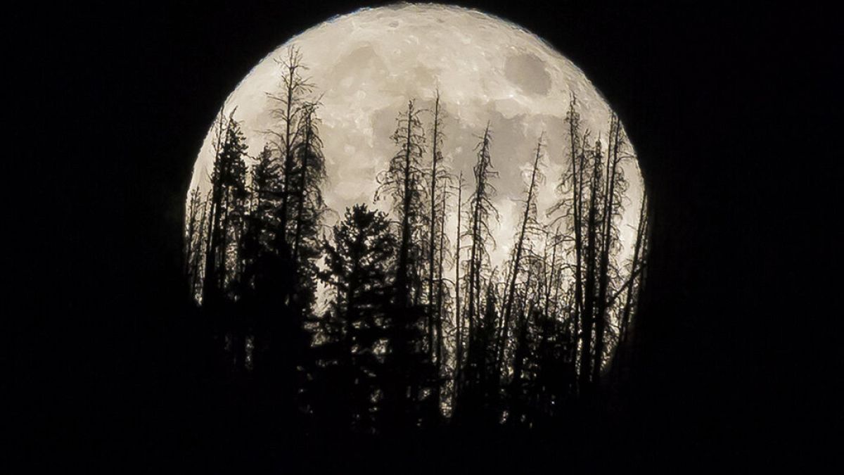 Archivo de la super luna de noviembre de 2016 en Colorado, EEUU