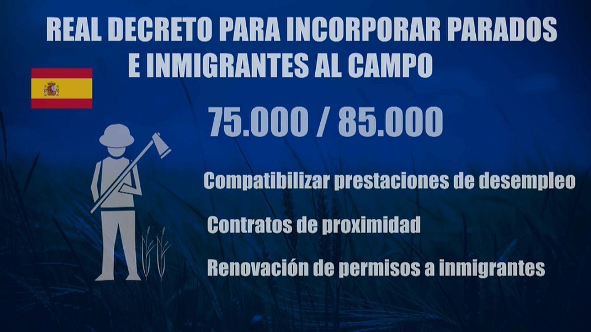 CORONAVIRUS | España emite un real decreto para llevar manos al campo durante la cuarentena