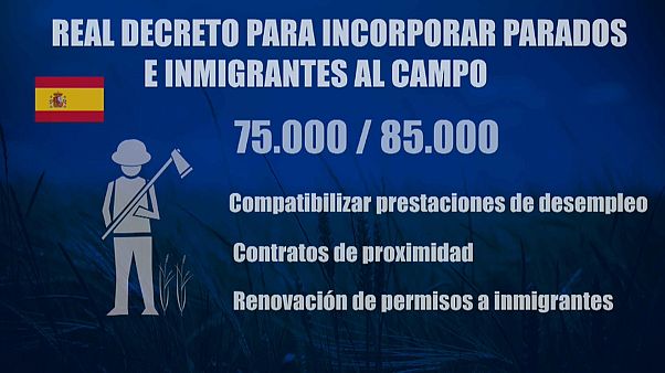 CORONAVIRUS | España emite un real decreto para llevar manos al campo durante la cuarentena CORONAVIRUS | España emite un real decreto para llevar manos al campo durante la cuarentena