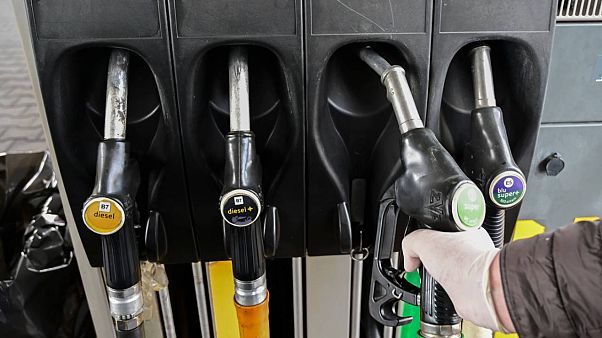 Rusya, petrol üretimini yüzde 14 düşürüp OPEC ülkeleriyle anlaşacak iddiası Rusya, petrol üretimini yüzde 14 düşürüp OPEC ülkeleriyle anlaşacak iddiası