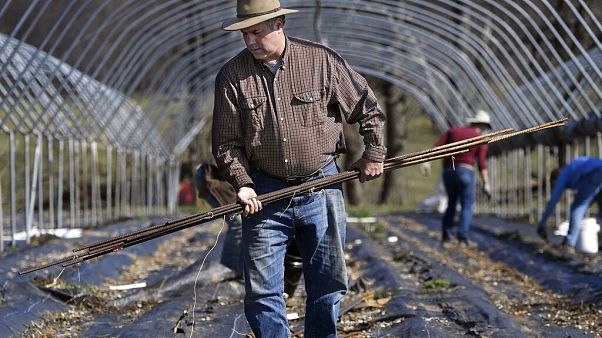 Miedo al desabastecimiento de alimentos por el coronavirus Miedo al desabastecimiento de alimentos por el coronavirus