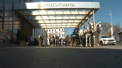 شاهد: العربات التي تجرّها الخيول في فيينا..من وسيلة سياحية إلى أداة لنقل الطعام في زمن كورونا