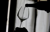 Italienische Winzer: Mit Lambrusco Hände desinfizieren?