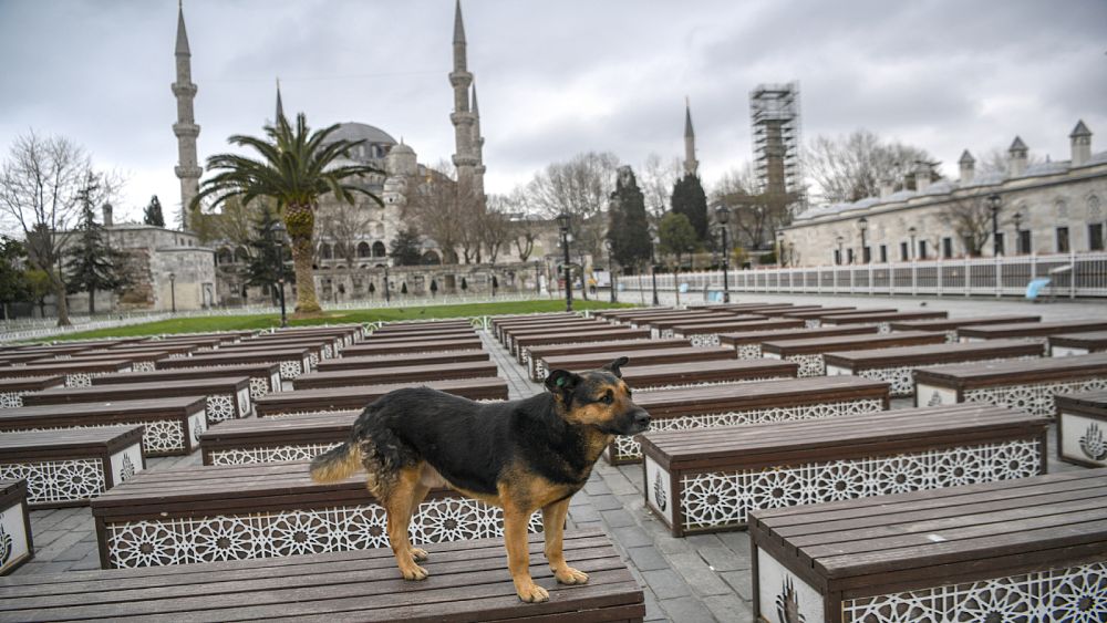 Covid-19 : la Turquie annonce un confinement de 48 heures dans 31 villes