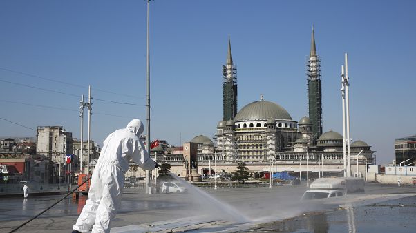 Virus Outbreak Turkey Virus Outbreak Turkey