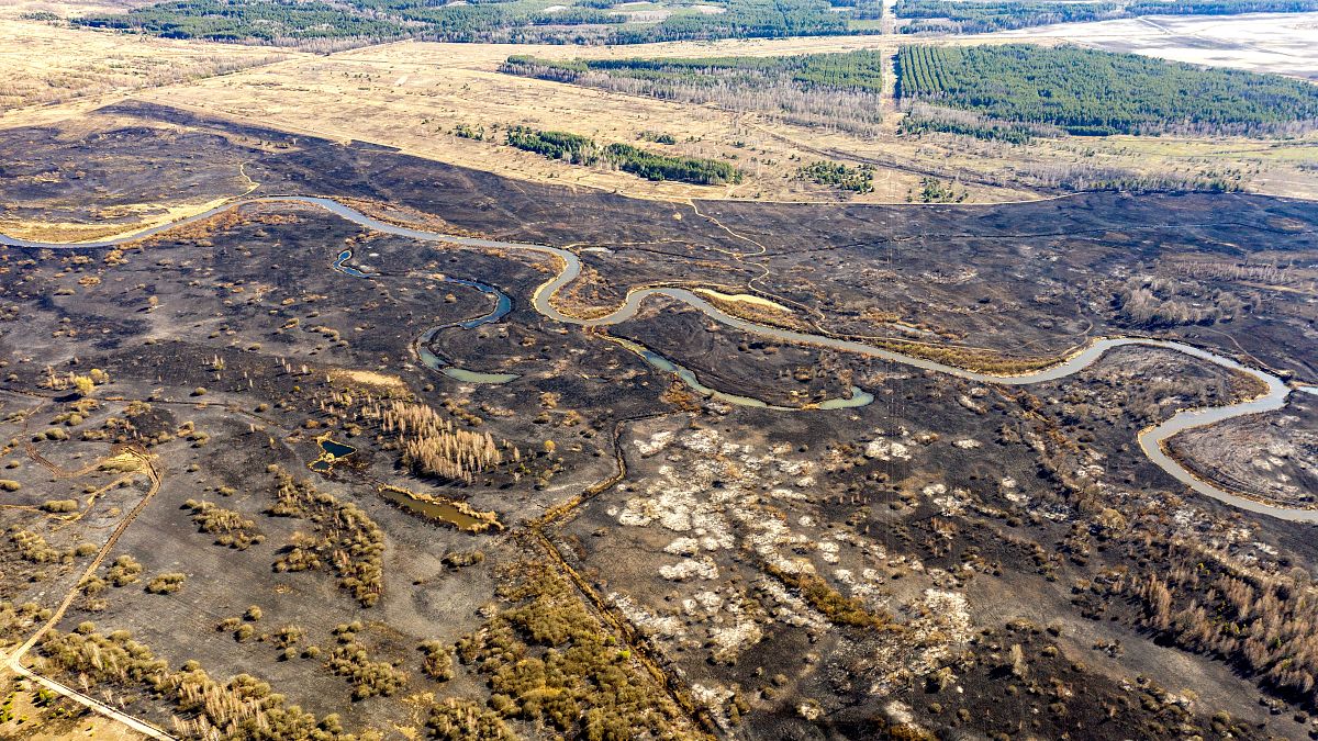 This aerial picture taken on April 12, 2020 shows the aftermath of a forest fire at a 30-kilometer (19-mile) Chernobyl exclusion zone in Ukraine