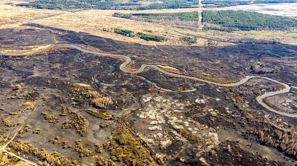 This aerial picture taken on April 12, 2020 shows the aftermath of a forest fire at a 30-kilometer (19-mile) Chernobyl exclusion zone in Ukraine This aerial picture taken on April 12, 2020 shows the aftermath of a forest fire at a 30-kilometer (19-mile) Chernobyl exclusion zone in Ukraine