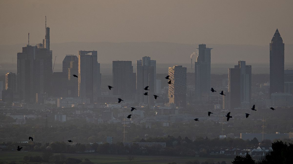 Birds fly by the buildings of the banking district in Frankfurt, Germany, early Tuesday, April 14, 2020. Due to the coronavirus the economy expects worldwide heavy losses.