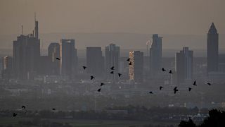 Birds fly by the buildings of the banking district in Frankfurt, Germany, early Tuesday, April 14, 2020. Due to the coronavirus the economy expects worldwide heavy losses.