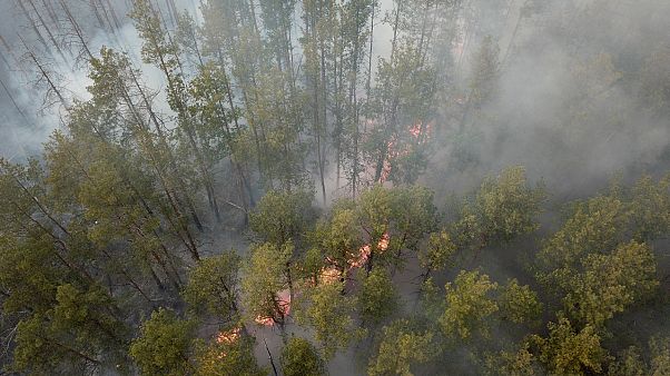 Waldbrände bei Tschernobyl gelöscht Waldbrände bei Tschernobyl gelöscht