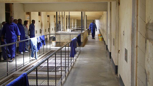 Zimbabve'de asılsız koronavirüs haberlerini üretenlere 20 yıl hapis cezası isteniyor Zimbabve'de asılsız koronavirüs haberlerini üretenlere 20 yıl hapis cezası isteniyor