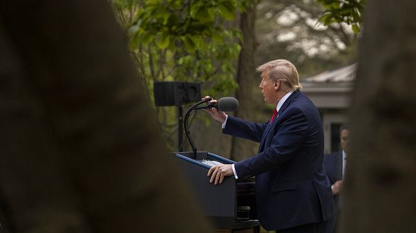 Donald Trump Donald Trump