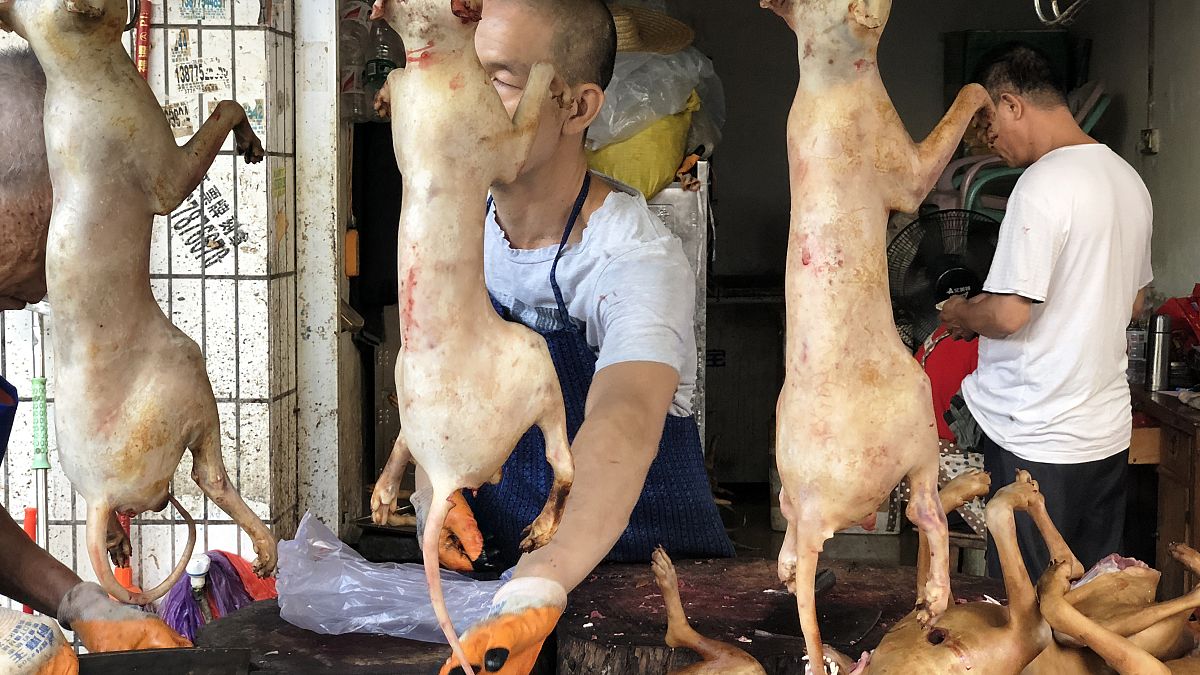 Yulin'de Dongkou pazarı Çin (2018 Arşiv)