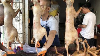 Yulin'de Dongkou pazarı Çin (2018 Arşiv)