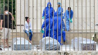 Resmi olarak koronavirüsten 388 kişinin öldüğü Ekvador'da ev ve hastanelerden 1424 ceset toplandı