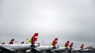 The passenger sued the Portuguese airline in 2017 after his flight was diverted and delayed due to a passenger biting people.