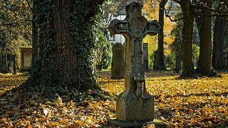 مقابر نيويورك غير قادرة على استقبال مزيد من موتى كورونا