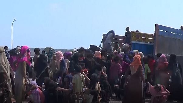 تصویر از ویدیو تصویر از ویدیو