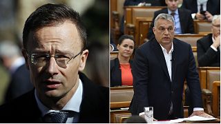 Coronavirus: Hungary minister says criticism of Viktor Orban's new powers are 'simply fake'