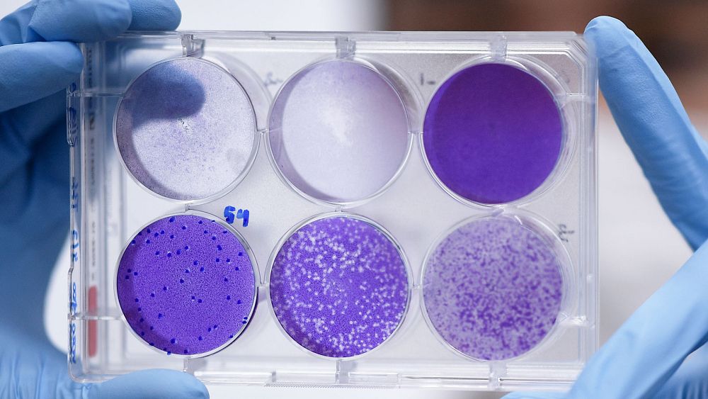 Coronavirus : les 193 pays de l'ONU réclament un